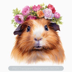 Watercolor Guinea Pig Clipart, Cute Floral Guinea pig, Guinea pig png, Printable graphics Sublimation, transparent png, Animal Art Print