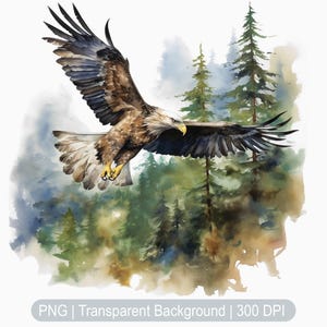 Eagle Clipart, Flying Eagle, Watercolor Eagle png, Bald eagle illustration, American Eagle clipart, Sublimation graphics print, Art Prints