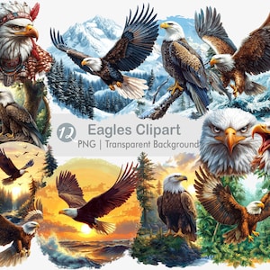 Eagles Clipart, Bald Eagle PNG, Forest Eagle, Snow Eagle, Printable  Sublimation Graphics, Wall Art Print, Birds, Sunset Eagle, Native Eagle