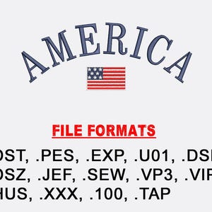 Könnte beinhalten: Ein Grafikdesign mit dem Wort "AMERICA" in Blau, das sich über einer kleinen amerikanischen Flagge wölbt. Darunter steht der Text "FILE FORMATS" in Rot, gefolgt von einer Liste von Dateierweiterungen, darunter .DST, .PES und .EXP.