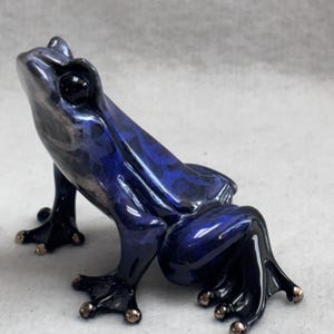 Hombre Rana - Tim Cotterill Rana “Cosmos" Escultura de Bronce ” 30/5000