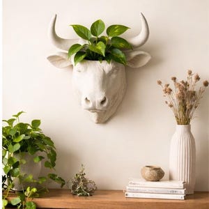 Puede incluir: Un macetero de pared con forma de cabeza de toro blanco, lleno de plantas verdes. Está montado en una pared clara. Otros elementos decorativos incluyen un jarrón con flores secas, una maceta pequeña y libros.