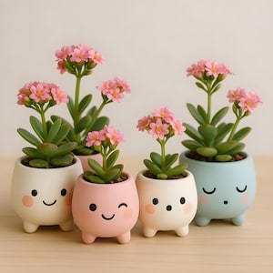 Puede incluir: Una colección de pequeñas macetas de cerámica sonrientes en colores pastel, cada una con una planta suculenta con flores rosas. Las macetas tienen caras bonitas y están dispuestas sobre una superficie clara, creando una exhibición alegre y decorativa.