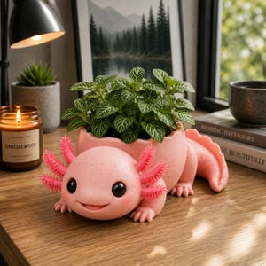 Può includere: Un vaso per piante a forma di axolotl rosa chiaro con una finitura liscia e maculata, grandi occhi neri e branchie esterne rosa brillante. Il vaso contiene una pianta verde rigogliosa con foglie venate di bianco su una superficie.