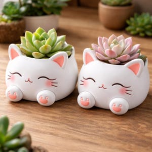 Peut inclure: Deux pots de fleurs blancs en forme de chat, chacun contenant une plante succulente. Les pots ont des accents roses sur les oreilles, les pattes et les joues. Une succulente est verte, l'autre rose. Les pots sont sur une surface en bois.
