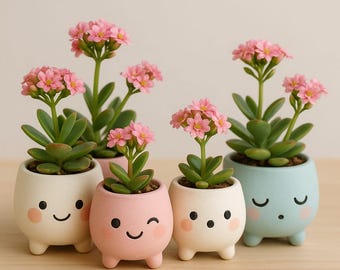 Puede incluir: Una colección de pequeñas macetas redondas de cerámica en colores pastel, cada una con un diseño de cara sonriente o somnolienta. Las macetas contienen suculentas verdes rematadas con racimos de pequeñas flores rosas. Las macetas están sobre una superficie marrón claro.