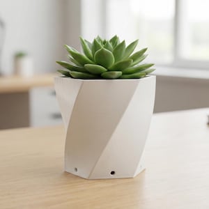 Puede incluir: Una planta suculenta verde en una maceta blanca y geométrica con un diseño retorcido. La maceta está sobre una superficie de madera clara, con un fondo borroso de un escritorio y una ventana.