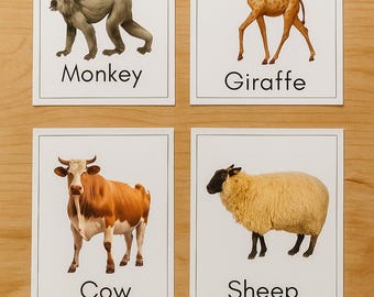 80 Realistic Animal Flashcards; Kids Learning Flash Cards; Animal ...