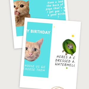 Carte de joyeux anniversaire avec chat : cadeau mignon et original pour les propriétaires de chats