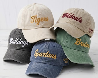 Embroidered Custom School Mascot Baseball Cap, Custom Name Gifts For Back To School, Custom Sports Hat, Team Mascot Hat, School Logo Hat