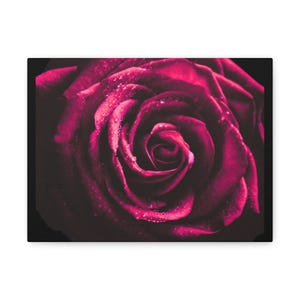 Stampa su tela con rosa romantica, decorazione floreale da parete, decorazione per la casa, regalo per lei, festa della mamma, decorazione per matrimoni