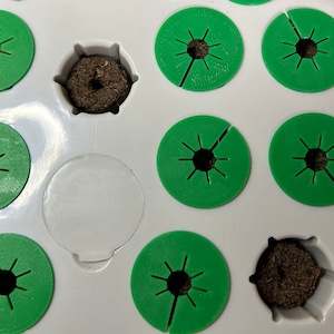 May include: A white tray with green circles and brown round discs. The tray has 16 slots, 10 of which have green circles with a hole in the center. The remaining 6 slots have brown round discs.