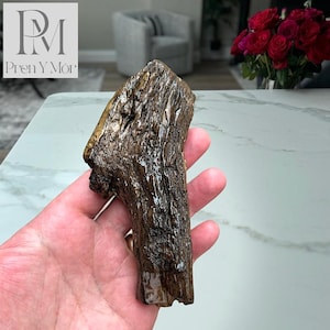 Tidal Remnant - #6 Driftwood Token, Glossed Dark Grooves with Paler Warm Ridged Contrast, One-of-a-Kind Hand-held Warm Coastal Piece,