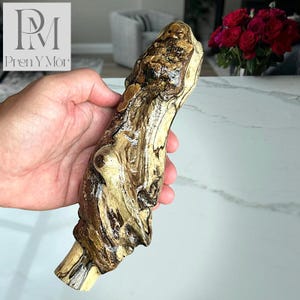 Rich Brown and Black Driftwood Form #9 Golden Charred Grain, Standing Natural Wood Sculpture, Gloss Varnish Finish, One of a Kind Tidal Art