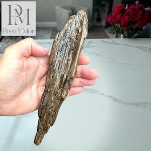 Natural Wood Craft - #1 Drift Weathered Relic, Sea-Weathered Coastal Form, Varnished Natural Wood Art Unique from Swansea Bay