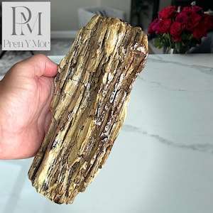 Weathered Coastal Driftwood Sculpture — #11 Layered Pale Relic, Textured Form with Pale Wood Tones & Deep Grooves, One of a Kind Art Piece