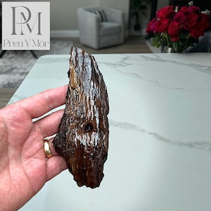 Tree Bark Relic - #4 Silver Red Bark", Curved Driftwood with Silver Bark & Red/Brown Grain Contrast, One of a Kind Varnished Coastal Art