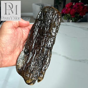 Varnished Driftwood Form – #12 Dark Coastal Echo, Tactile Small Sculpture with Bark & Grooved Texture, One of a Kind Art Piece Ornament