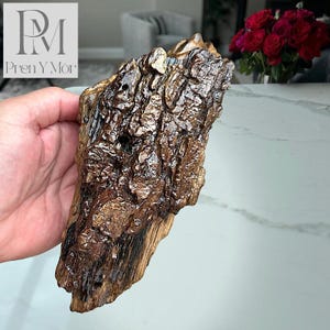 Natural Driftwood Sculpture - #10 Heartwood Memory, Bark Grain Contrast with Deep Textural Forms, One of a Kind Coastal Art, Wood Decoration