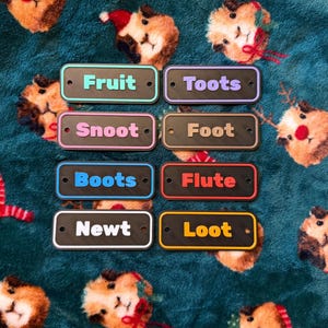 May include: A collection of eight rectangular black name tags with colorful text. The text on the tags includes the words "Fruit", "Toots", "Snoot", "Foot", "Boots", "Flute", "Newt", and "Loot". The tags are on a green patterned background.