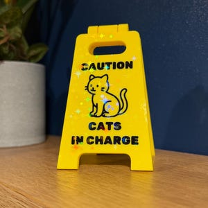 Funny Cat Owner Gift - Cats In Charge Mini Floor Sign