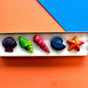 May include: A collection of five seashell-shaped crayons presented in a small cardboard box. The crayons are in shades of purple, green, pink, blue, and orange. The background features orange and blue panels.
