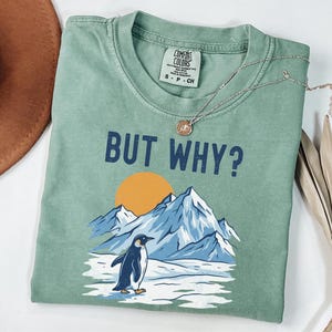 May include: Sage green Comfort Colors t-shirt with the phrase "BUT WHY?" above a graphic of a penguin, mountains, and a sun. A silver necklace with a pendant is draped across the shirt. The shirt is size S-P-CH.