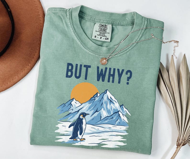 May include: Sage green Comfort Colors t-shirt with the phrase "BUT WHY?" above a graphic of a penguin, mountains, and a sun. A silver necklace with a pendant is draped across the shirt. The shirt is size S-P-CH.