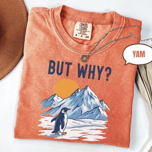May include: Coral-colored t-shirt with the phrase "BUT WHY?" and a graphic of a penguin in front of mountains and a sun. A silver necklace with a pendant is on the shirt. The shirt is a Comfort Colors brand, size S-P-CH.