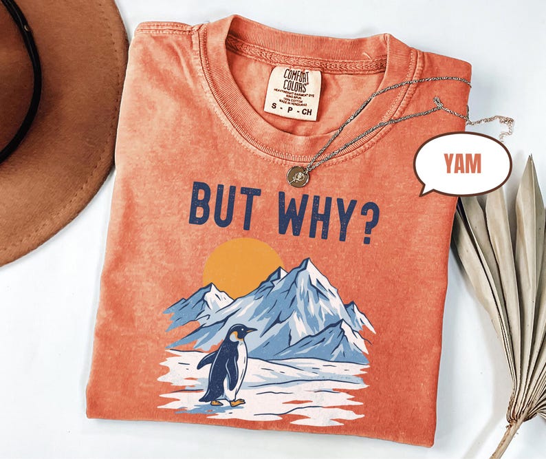 May include: Coral-colored t-shirt with the phrase "BUT WHY?" and a graphic of a penguin in front of mountains and a sun. A silver necklace with a pendant is on the shirt. The shirt is a Comfort Colors brand, size S-P-CH.
