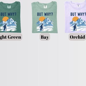 May include: Three t-shirts in light green, bay, and orchid colors. Each shirt features a graphic of a penguin standing in front of mountains and a sun, with the text "BUT WHY?" above the graphic. The shirts are labeled "Light Green", "Bay", and "Orchid".
