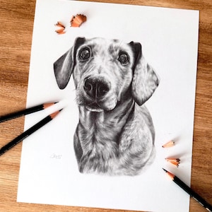 Pet Portrait, Graphite Pencil, Black & White