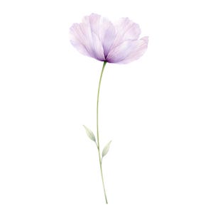 May include: A delicate watercolor illustration of a single flower. The flower has soft, translucent lavender petals and a slender green stem with two small leaves. The background is plain white, highlighting the flower's gentle beauty.