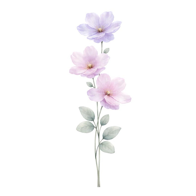 May include: Watercolor illustration of a delicate floral stem with three blossoms. The flowers transition in color from a soft lavender at the top to a pale pink at the bottom. The stem has green leaves and a light green stem.