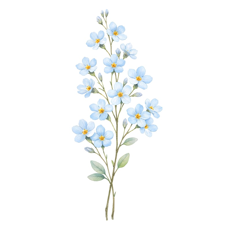 28 Wildflower PNG Bundle Watercolor Botanical Floral Clipart Designs image 5