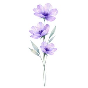 28 Wildflower PNG Bundle Watercolor Botanical Floral Clipart Designs image 3