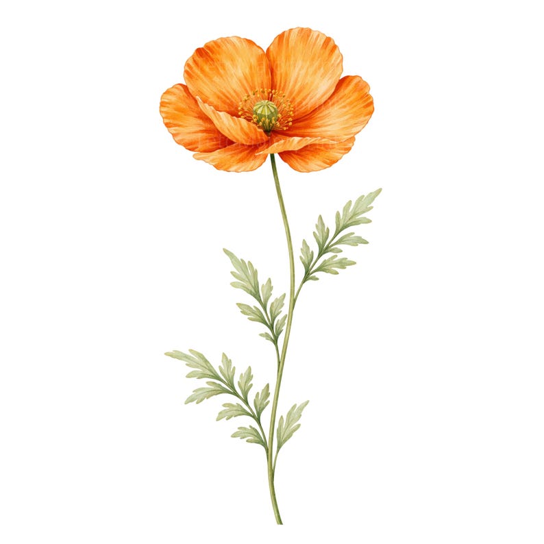 28 Wildflower PNG Bundle Watercolor Botanical Floral Clipart Designs image 9