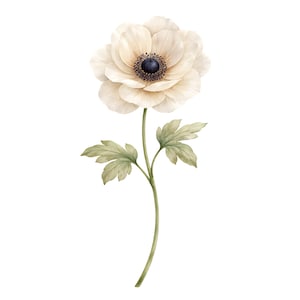 28 Wildflower PNG Bundle Watercolor Botanical Floral Clipart Designs image 19