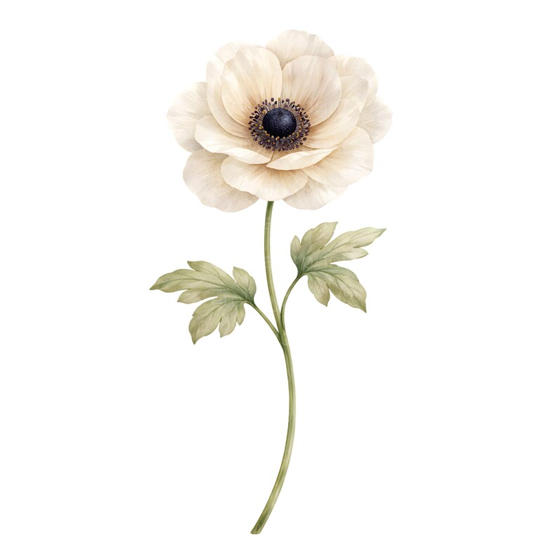 28 Wildflower PNG Bundle Watercolor Botanical Floral Clipart Designs image 19