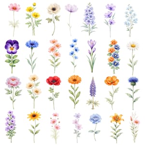 May include: Watercolor illustration of various flowers, including poppies, daisies, and pansies. The flowers are in shades of pink, yellow, orange, purple, and blue. Each flower has a green stem and leaves, set against a white background.