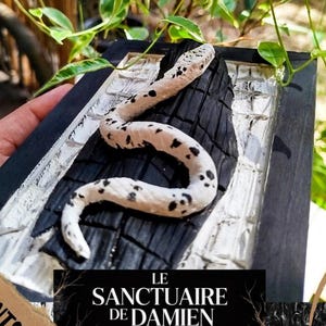 Scary esoteric snake frame - snake wall art tattoo, original sculpture, gothic decoration, snake ornament, witchy gift