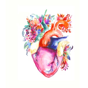 Heart Beat, 12 x 12 SQUARE Art Print of Watercolor illustration. Anatomical Heartbeat. Medical Art