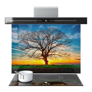 Puede incluir: Campana extractora negra y plateada con un panel de vidrio que muestra un paisaje de puesta de sol con un árbol. Una cacerola blanca está sobre una placa de cocina negra con dos quemadores. La campana tiene la marca "PRISMA".