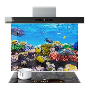 May include: A black range hood with a digital display and the brand name "PRISMA". The hood features a vibrant image of an underwater coral reef with colorful fish. A white pot sits on a black stovetop.