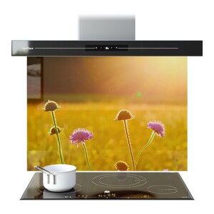 May include: A contemporary black range hood with the brand name "PRISMA" on the left. Below is a glass panel with a floral design and a black hob with a white saucepan. The hob has four cooking zones.