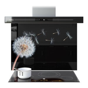 Köksstänkskydd Maskrosblomma Natur Bakstänkskydd i härdat glas Väggpanel bakom spis och diskho | PrizmaSplashbacks