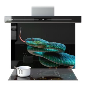 Puede incluir: Campana extractora negra con pantalla digital y la marca "PRISMA". Debajo, un panel de vidrio negro muestra una serpiente verde y azul con la lengua fuera. Una cacerola blanca descansa sobre una placa de inducción negra.