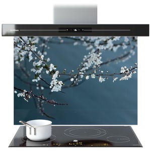 Könnte beinhalten: Moderne schwarze Dunstabzugshaube mit Digitalanzeige, über einer Glasrückwand mit floralem Design. Ein schwarzes Induktionskochfeld mit einem weißen Kochtopf befindet sich im Vordergrund. Die Haube trägt den Markennamen "PRISMA".