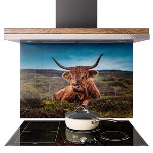 Puede incluir: Una campana extractora de cocina con moldura de madera y un protector contra salpicaduras de vidrio con una vaca de las Highlands. Una encimera negra con una olla crema con tapa negra está frente al protector contra salpicaduras.