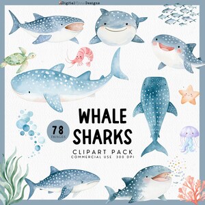 Söt valhaj Clipart för barnkammardekor, havsälskare grafik, valhajälskare PNG, festvalhaj för inbjudan, dykklippbok